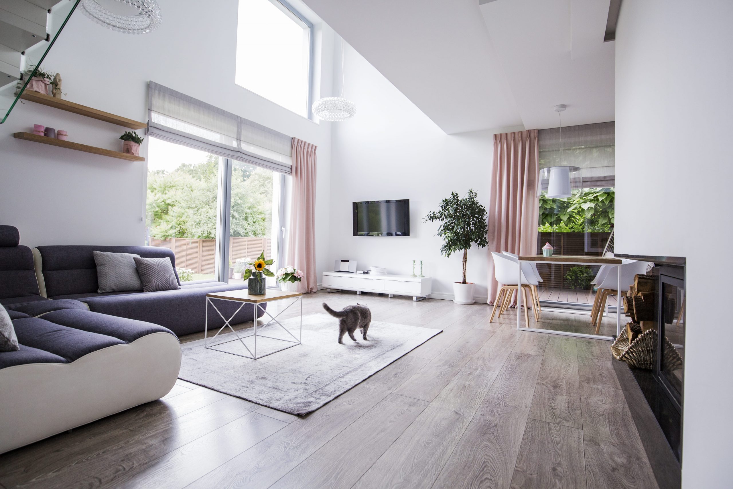 Sala de estar com piso vinílico com um gato em cima de um tapete no centro da sala