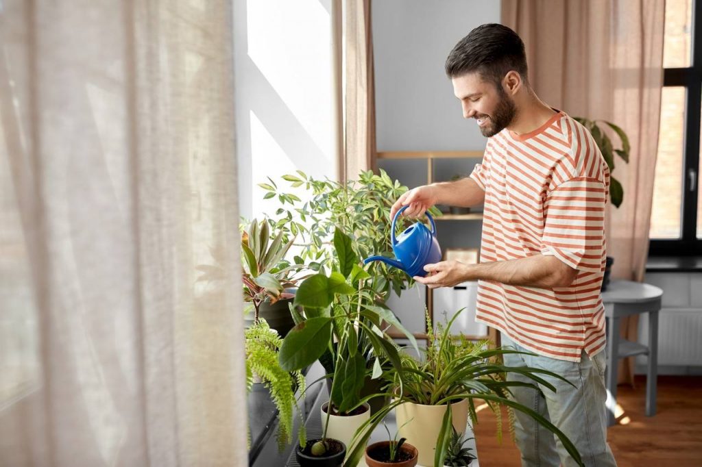 Homem colocando água nas plantas