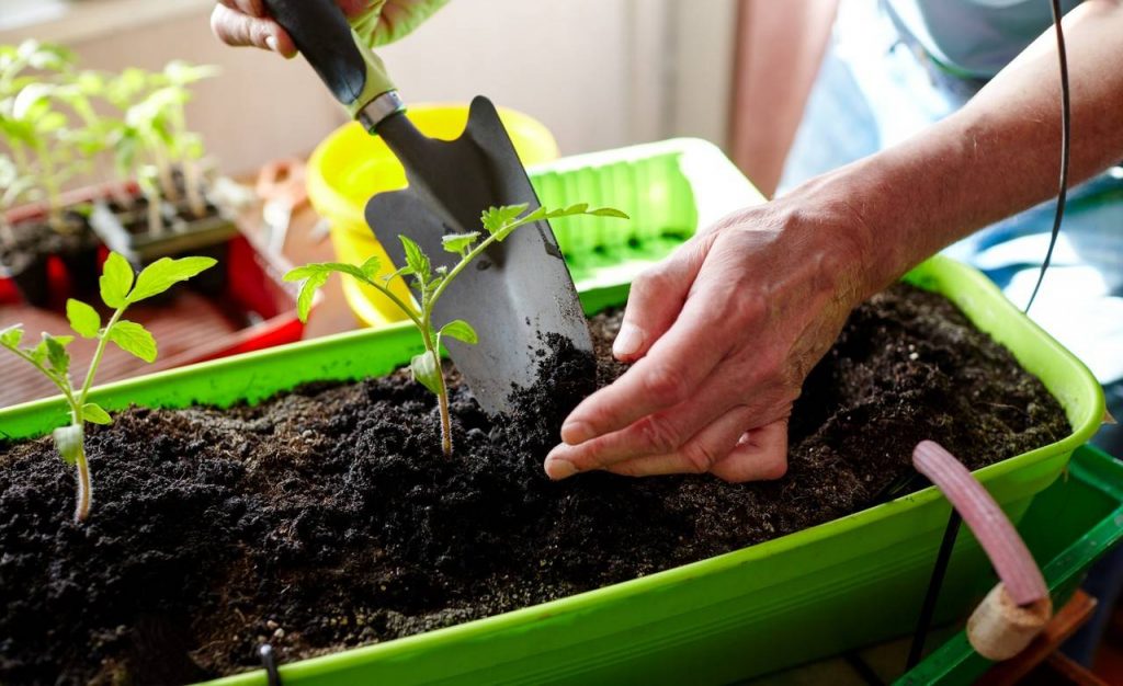 Uma pessoa preparando uma terra para criar uma horta em casa